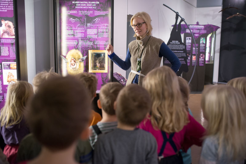 Museo-opas kertoo lepakoista Vampyyrin varjostamat -näyttelyssä.