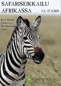 Lähikuva seeprasta Afrikan savannilla