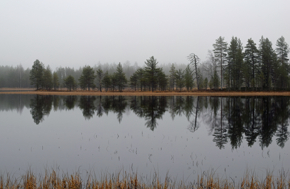 Lammen pinta on tyyni. Vastarannan puut heijastuvat veteen.
