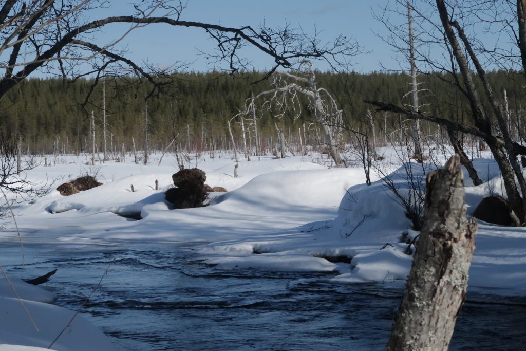 Aurinkoinen talvipäivä. Joen vesi virtaa vapaana.